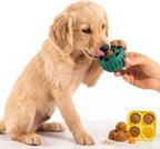 Cachorro Golden Retriever lamiendo la pelota rellenable y congelable verde junto a su molde de premios de The Paws Boutique.