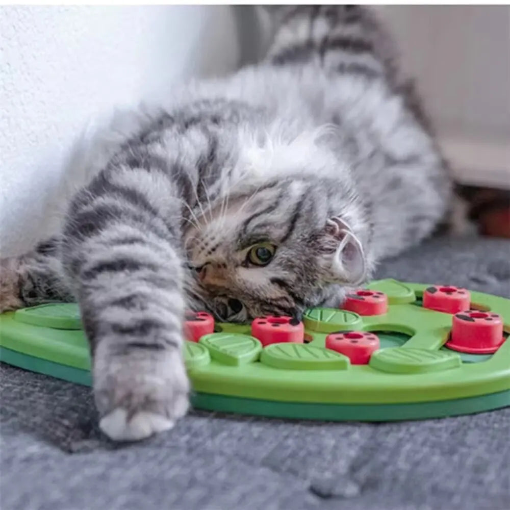 Cat Puzzle Treat Toy Made of High Quality Non Toxic Plastic with Playful and Interactive Style Adjustable Difficulty Mental