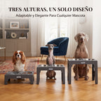 Comedero Elevado Regulable para Perros (5 Alturas) – Estación 3 en 1 con Plato Antivoracidad, Bebedero Antigoteo y Cuenco de Acero Inoxidable