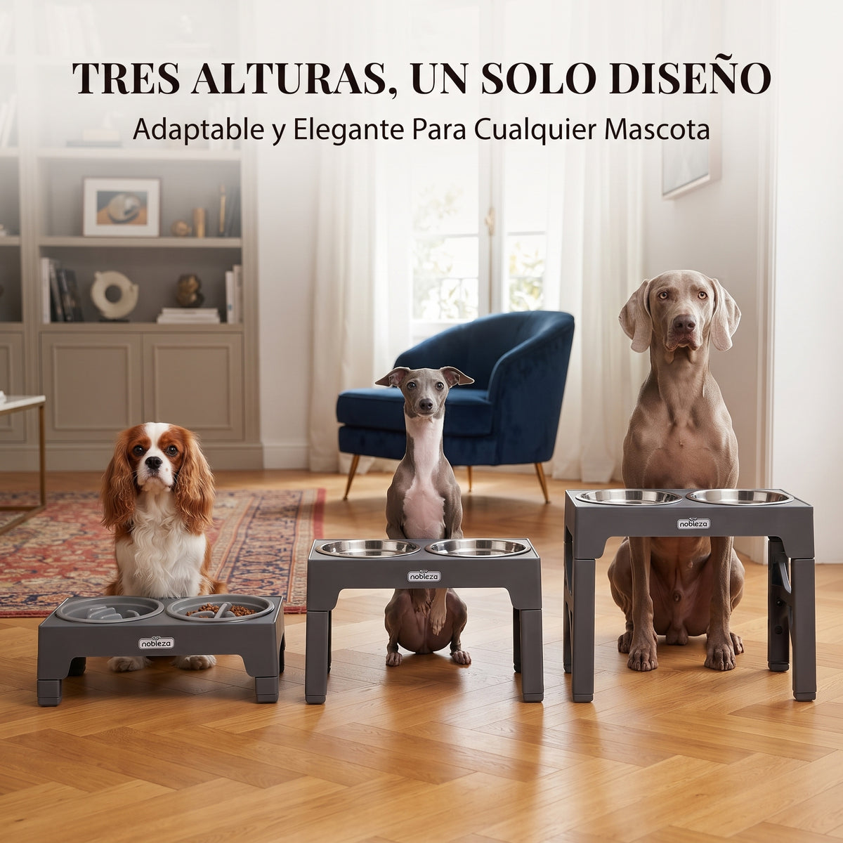 Comedero Elevado Regulable para Perros (5 Alturas) – Estación 3 en 1 con Plato Antivoracidad, Bebedero Antigoteo y Cuenco de Acero Inoxidable