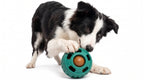 Cachorro Border Collie jugando concentrado y mordiendo la pelota interactiva rellenable antiestrés de The Paws Boutique.