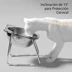 Comedero Elevado de Acero Inoxidable con Inclinación de 15° para Gatos
