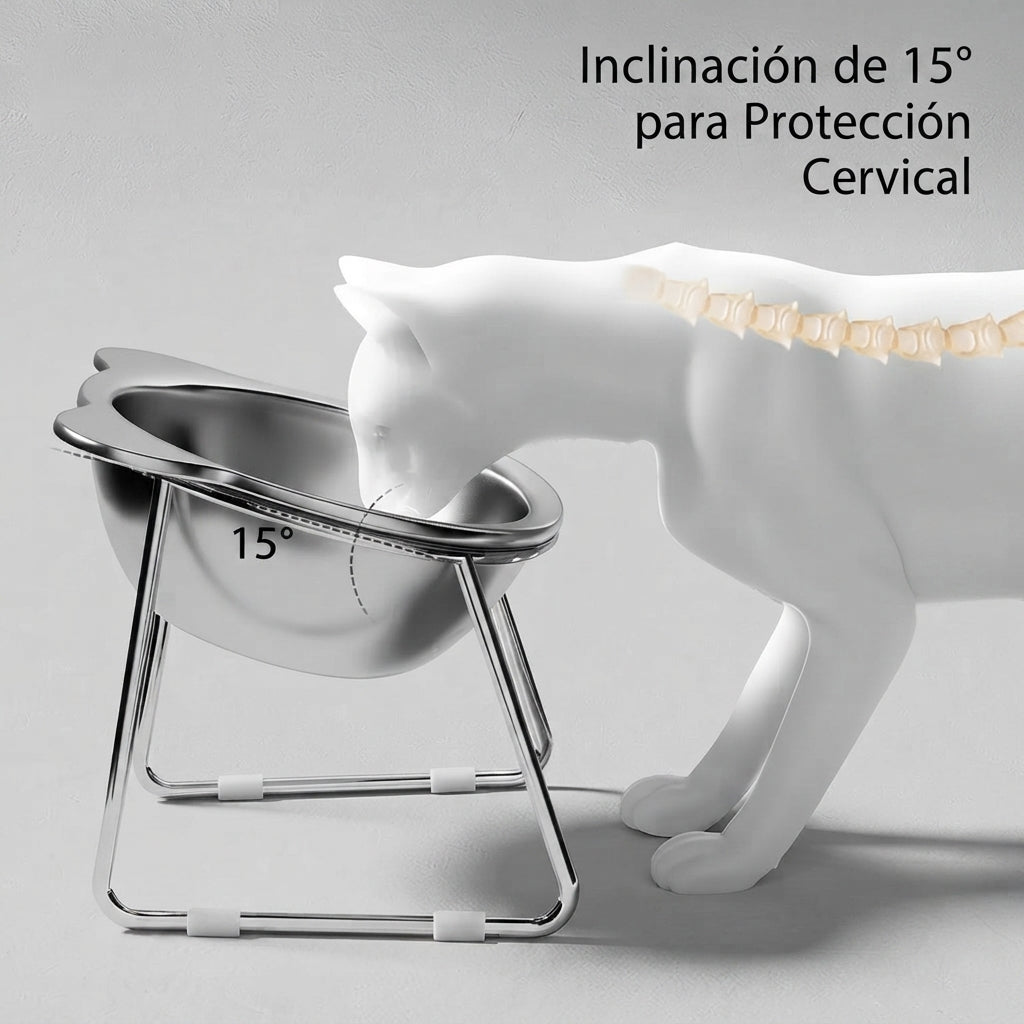 Comedero Elevado de Acero Inoxidable con Inclinación de 15° para Gatos