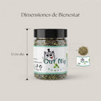 Hierba Gatera Natural en Hojas (Catnip Orgánico 100%) – Estimulante y Relajante para Gatos (Bote 20g)