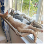 Hamaca Colgante de Ventana para Gatos | Cama Flotante y Asiento de Sol (Soporta hasta 20 kg)