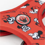 Arnés Reversible Acolchado para Perros y Cachorros – Diseño Doble Cara Ergonómico y Transpirable con Cierre de Seguridad