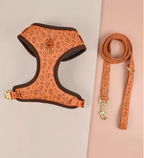 Conjunto Arnés y Correa Acolchada para Perros – Arnés Ergonómico Estampado de Neopreno con Herrajes Dorados