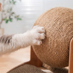 Rascador Giratorio de Sisal y Madera para Gatos | Diseño Estético 2 en 1