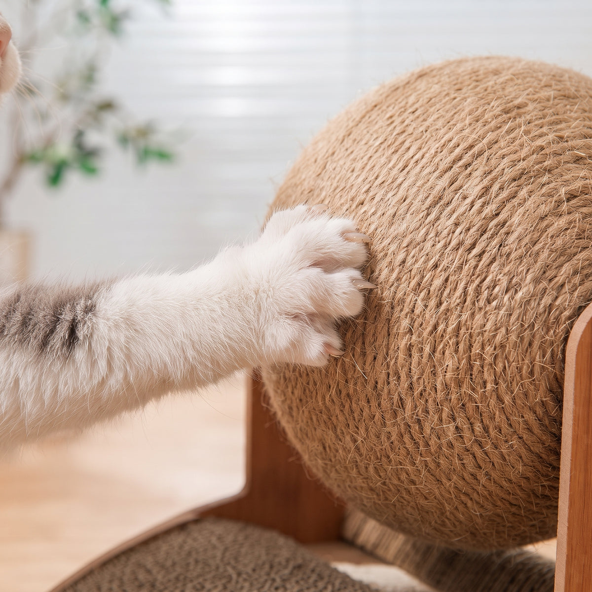 Rascador Giratorio de Sisal y Madera para Gatos | Diseño Estético 2 en 1