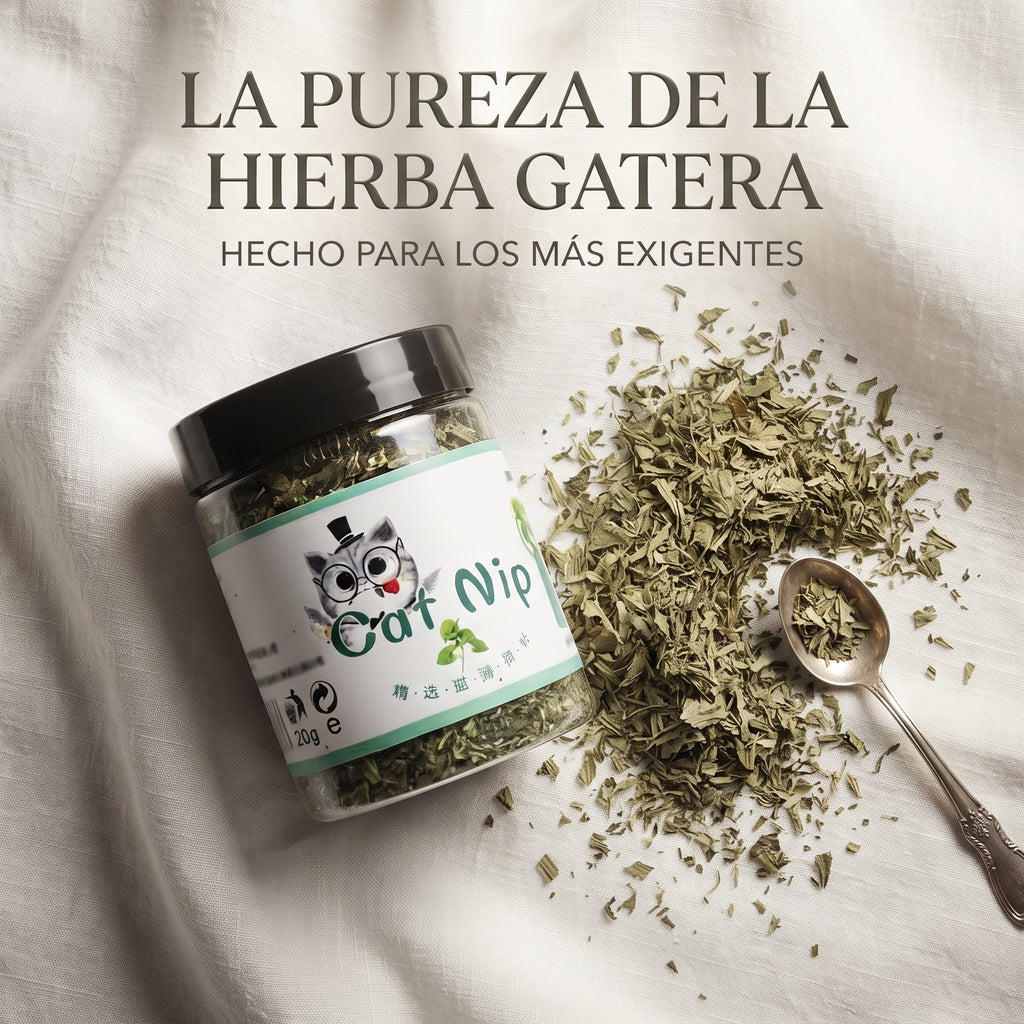 Hierba Gatera Natural en Hojas (Catnip Orgánico 100%) – Estimulante y Relajante para Gatos (Bote 20g)