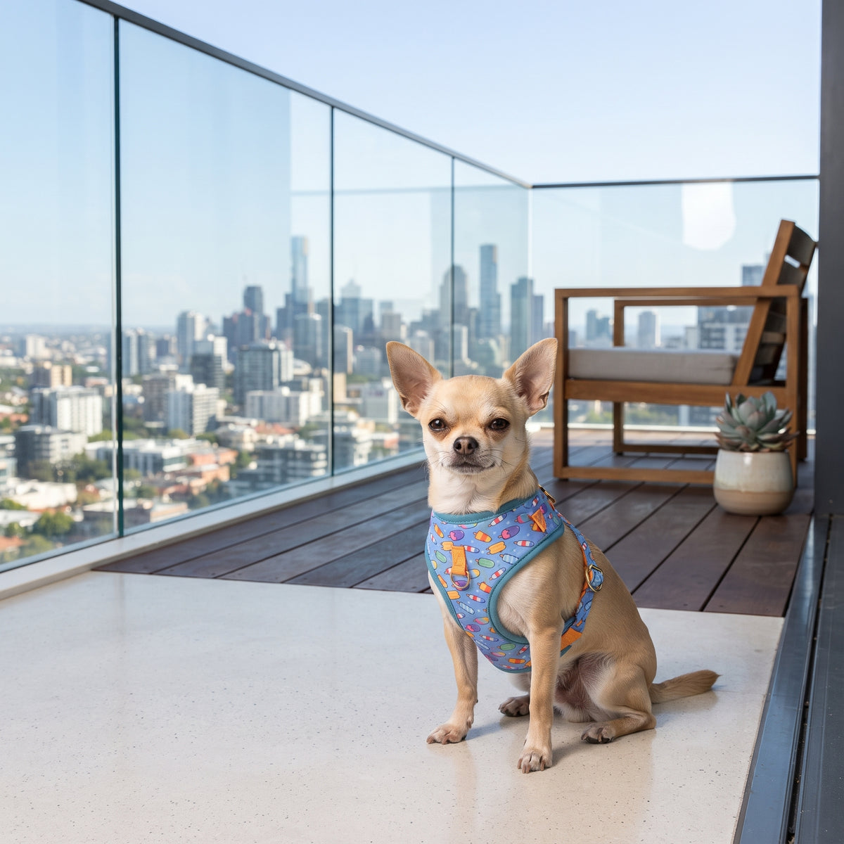 Conjunto Arnés y Correa Acolchada para Perros – Arnés Ergonómico Estampado de Neopreno con Herrajes Dorados