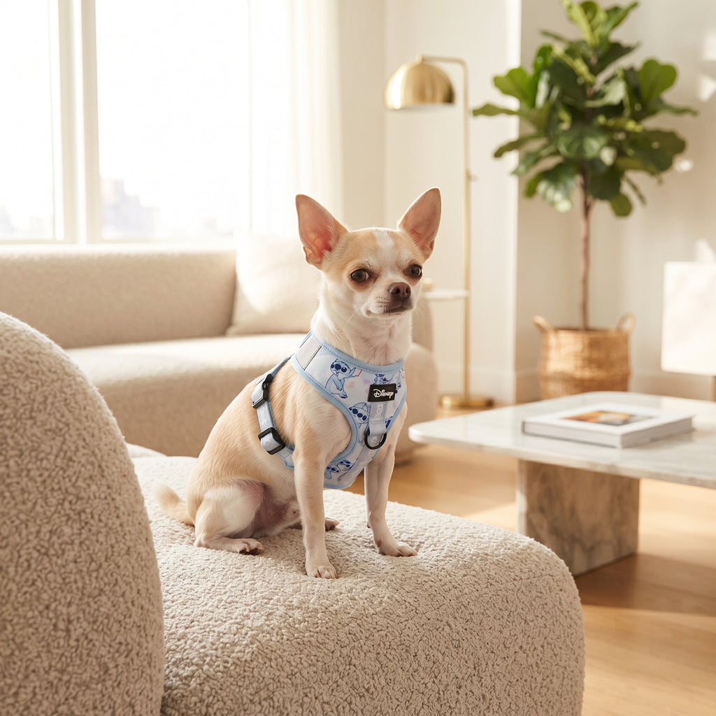 Arnés Ergonómico Acolchado para Perros y Cachorros – Pechera de Neopreno y Malla Transpirable con Cierre de Seguridad