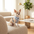 Arnés Ergonómico Acolchado para Perros y Cachorros – Pechera de Neopreno y Malla Transpirable con Cierre de Seguridad