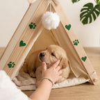 Perro Golden Retriever joven descansando en la cama tipi de madera y tela en casa de The Paws Boutique