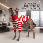 Jersey a Rayas de Cuello Alto para Galgo Italiano, Whippet y Lebreles – Camiseta Elástica de Algodón 100%