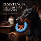 Juguete Mordedor Ultrarresistente de Caucho para Perros | Limpieza Dental