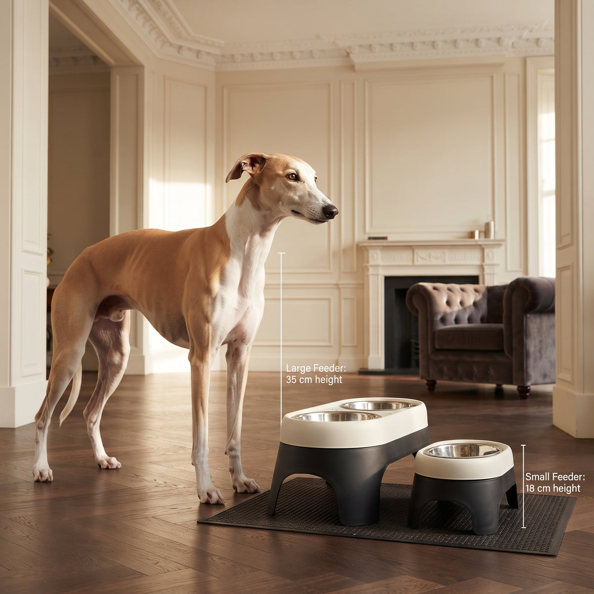 Comedero Doble Elevado de Acero Inoxidable para Perros y Gatos