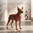 Arnés Reversible Acolchado para Perros y Cachorros – Diseño Doble Cara Ergonómico y Transpirable con Cierre de Seguridad