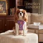 Conjunto Arnés y Correa Acolchada para Perros – Arnés Ergonómico Estampado de Neopreno con Herrajes Dorados