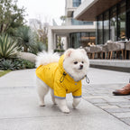 Chubasquero Impermeable con Capucha para Perros | Chaqueta Cortavientos Estilo Deportivo