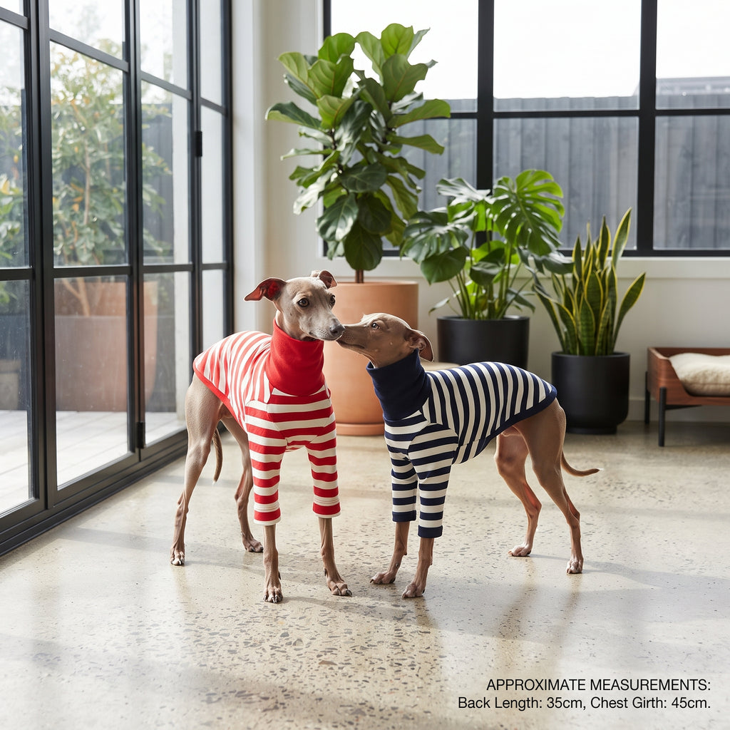 Jersey a Rayas de Cuello Alto para Galgo Italiano, Whippet y Lebreles – Camiseta Elástica de Algodón 100%