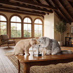 Fuente Automática Transparente para Gatos y Perros con Caño de Grifo – Bebedero Silencioso USB con Filtración Continua (1,5 Litros)