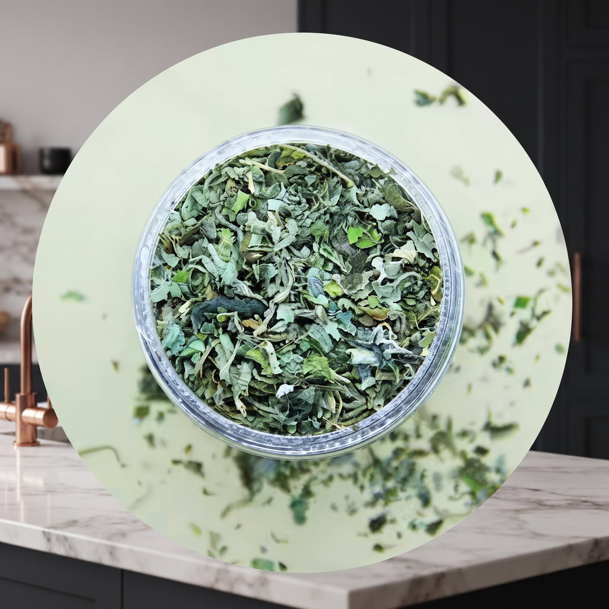 Hierba Gatera Natural en Hojas (Catnip Orgánico 100%) – Estimulante y Relajante para Gatos (Bote 20g)