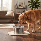 Fuente de Agua Automática en Acero Inoxidable para Gatos | 2.2L