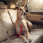 Cinturón de Seguridad Ajustable para Perros y Mascotas en el Coche