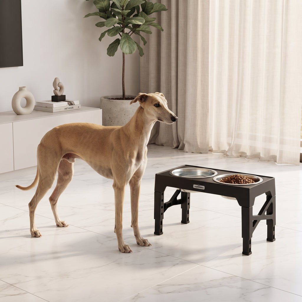 Comedero Elevado Regulable para Perros (5 Alturas) – Estación 3 en 1 con Plato Antivoracidad, Bebedero Antigoteo y Cuenco de Acero Inoxidable