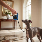 Correa Retráctil para Perros de 3 y 5 Metros - Cinta Flexible y Resistente con Freno de Seguridad