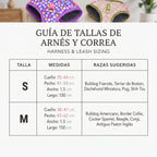 Conjunto Arnés y Correa Acolchada para Perros – Arnés Ergonómico Estampado de Neopreno con Herrajes Dorados
