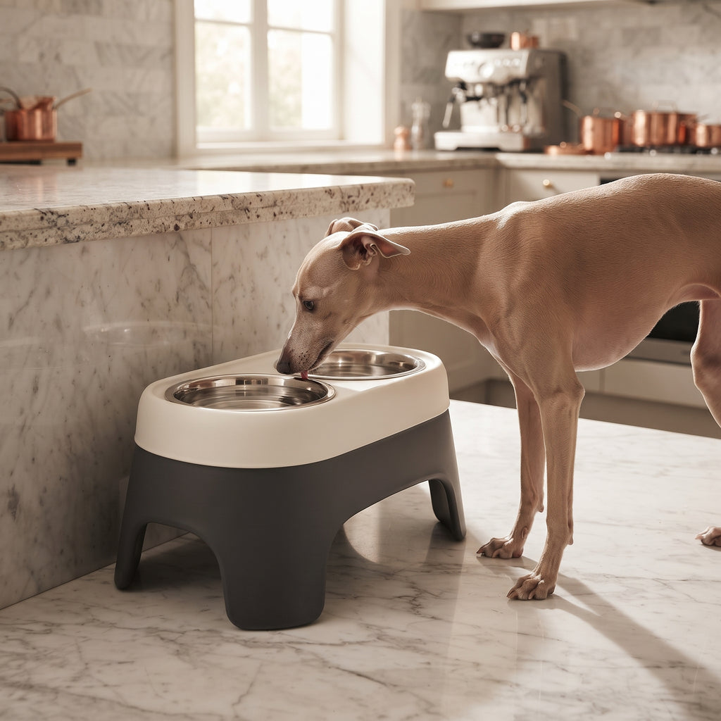 Comedero Doble Elevado de Acero Inoxidable para Perros y Gatos