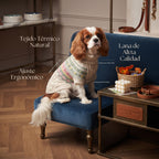 Jersey de Punto Vintage para Perros y Gatos – Suéter Cálido de Invierno con Estampado Jacquard Nórdico