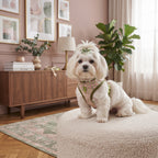 Conjunto Arnés y Correa Acolchada para Perros – Arnés Ergonómico Estampado de Neopreno con Herrajes Dorados