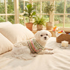 Jersey de Punto Vintage para Perros y Gatos – Suéter Cálido de Invierno con Estampado Jacquard Nórdico