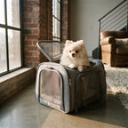 Bolsa de Transporte Homologada para Mascotas – Transportín Transpirable para Perros y Gatos (Cabina de Avión, Tren y Coche)
