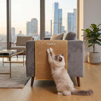 Alfombra Rascador de Sisal Natural para Gatos | Protector de Muebles