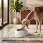 Bebedero Antisalpicaduras y Antiahogo para Mascotas – Comedero de Agua Flotante Antigoteo de 1 Litro para Perros y Gatos