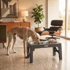 Comedero Elevado Regulable para Perros (5 Alturas) – Estación 3 en 1 con Plato Antivoracidad, Bebedero Antigoteo y Cuenco de Acero Inoxidable
