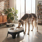 Comedero Doble Elevado de Acero Inoxidable para Perros y Gatos