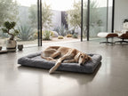 Cama Colchoneta Acolchada de Felpa para Perros Grandes y Medianos (120x60 cm) – Extra Suave y Lavable
