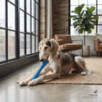 Juguete Mordedor Ultrarresistente de Caucho para Perros | Limpieza Dental