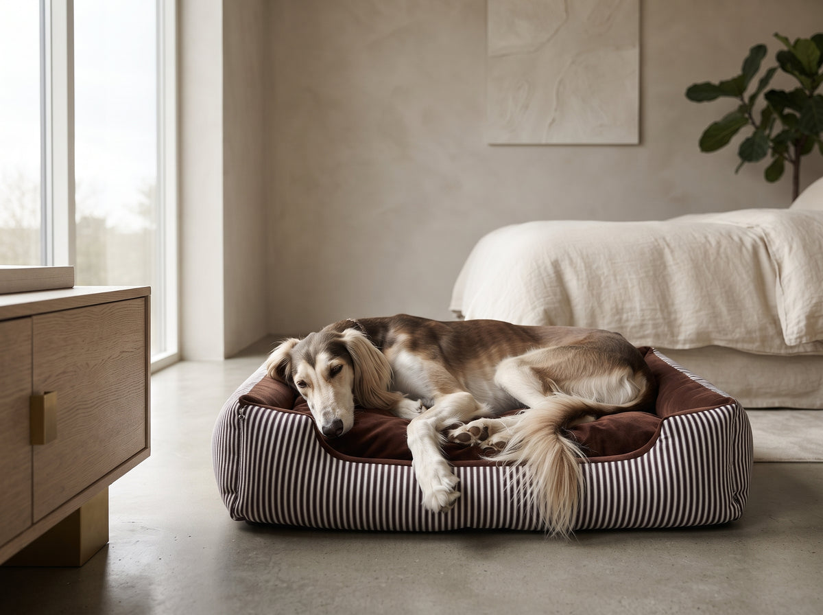 Cama Sofá Acolchada para Mascotas – Nido Térmico 4 Estaciones con Bordes Elevados para Perros y Gatos