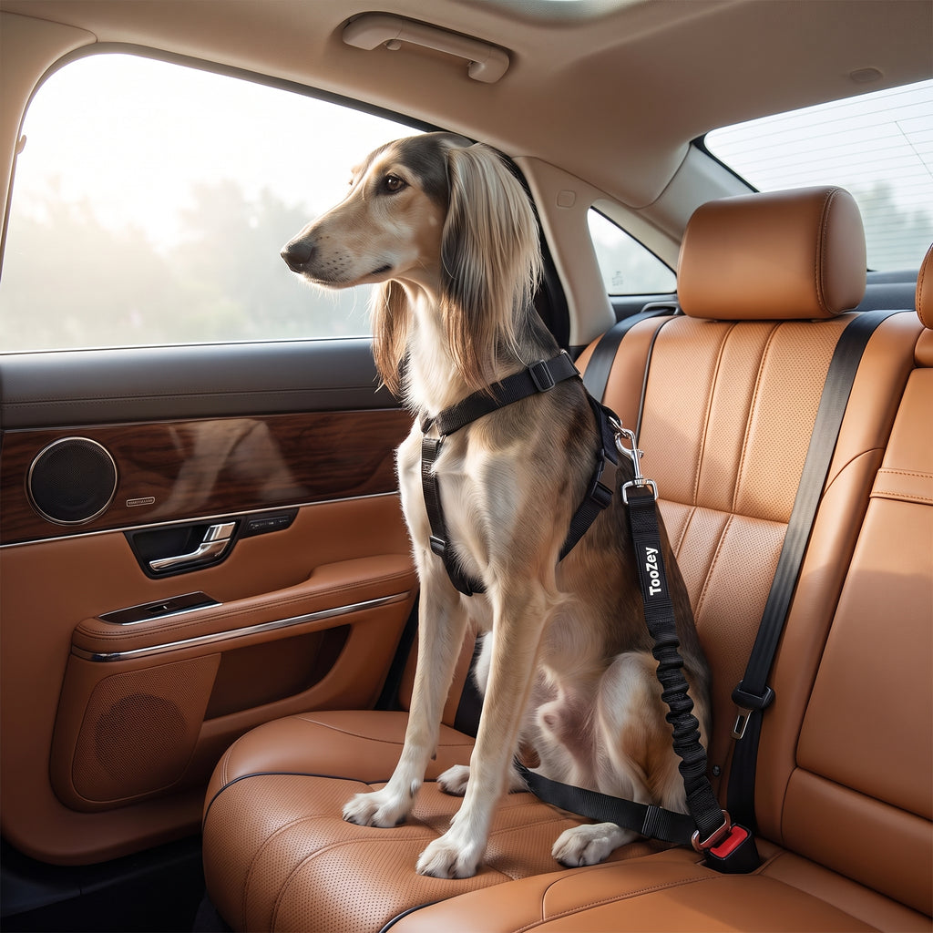 Perro Cinturón De Seguridad, Elástico Ruck Dämp Fung Y Fuerte Mosquetón, Ajustable Perros Correa Alta Seguridad Para Todas Las Razas Perros Y Gatos, Negro
