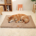 Cama Ortopédica para Perros de Espuma – Funda de Pelo Suave Desenfundable e Impermeable