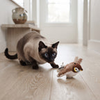 Pájaro Aleteador Interactivo con Catnip y Sonido para Gatos – Recargable por USB
