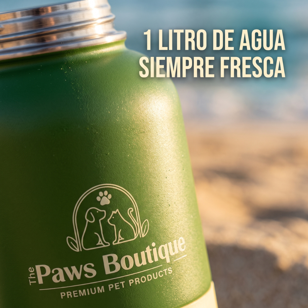 Primer plano del acabado en acero inoxidable verde de la botella termo para perros de The Paws Boutique en la playa. Ideal para mantener el agua fresca en los paseos