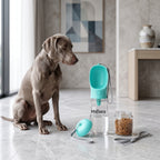 Bebedero Portátil 3 en 1 de 550 ml para Perros y Mascotas