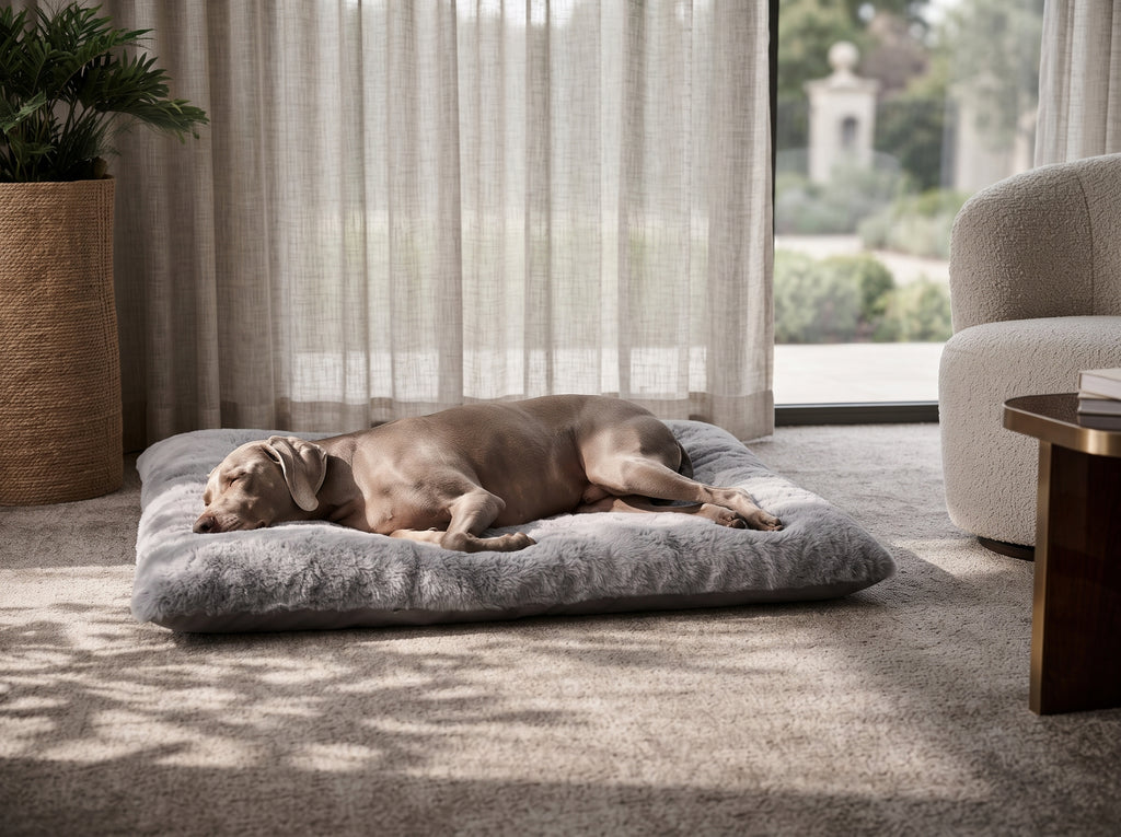 Cama Colchoneta Acolchada de Felpa para Perros Grandes y Medianos (120x60 cm) – Extra Suave y Lavable